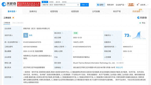 蚂蚁数科布局华中，武汉新设信息技术公司聚焦网络安全软件开发
